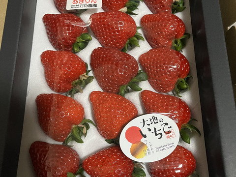 いちご 【小野崎農園】 とちあいか 大玉 Aサイズ 280g 8〜12粒