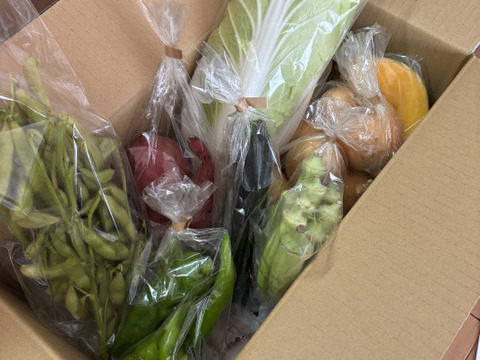 Mサイズ ＊旬野菜セット(約8~9品)【農薬：栽培期間中不使用】：千葉県