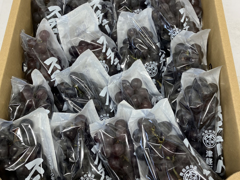 【家計応援】まとめ買いスチューベン 5kg（優品）