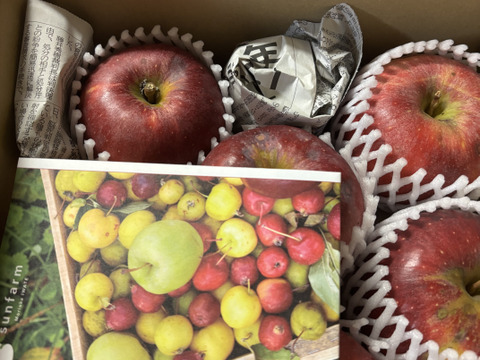 味のバランス良し！りんご 春紅玉 (キズ有B品2㎏)：岩手県産の春