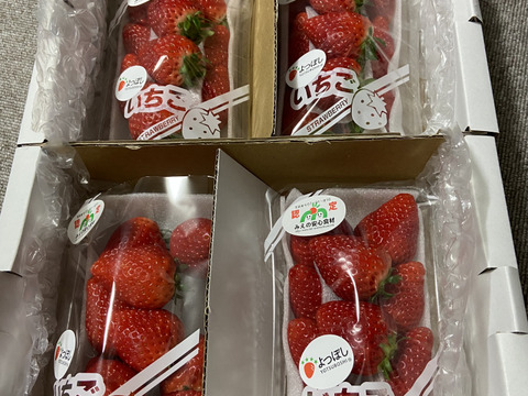コクのある味わい！よつぼし　いちご　200ｇ×4パック