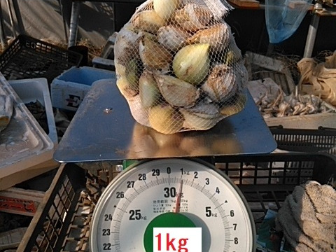 にんにく 皮やぶれ＆バラ粒ふぞろい *1kg