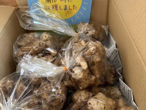 【予約増量♫】健康を気遣うあなたへ　菊芋（2000g→2100g）　from 名水の里　神奈川県秦野市