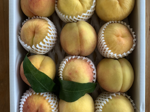 信州生まれのジューシーなワッサー！　
固い桃の好きな方、
やみつき間違いなしの味。
（12個　3.5Kg）
(近距離、カード限定）