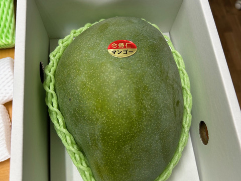 ☆希少☆ 沖縄県産 キーツマンゴー 大玉 2個 宮古島産キーツマンゴー 2玉（約1.5kg） : 沖縄そばと沖縄食材