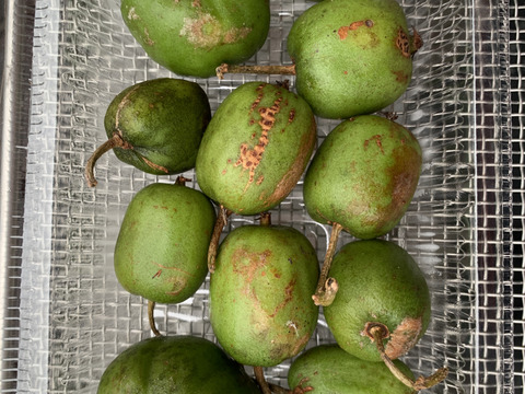 濃厚！甘酸っぱ～い『ベビーキウイ』家庭用 140g