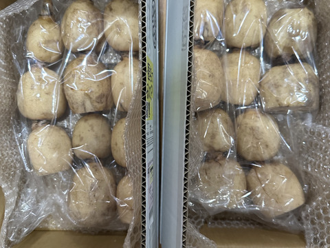【お買い得】RENCOOONのれんこん！１kg×２箱
