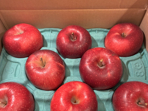 終わります🍎【ふじに飽きたらこれ】 シナノホッペ 3キロ箱 6〜15玉 商品ID44438 長野県 信州 安曇野 リンゴ 幻 幻のリンゴ 予約 希少 旬