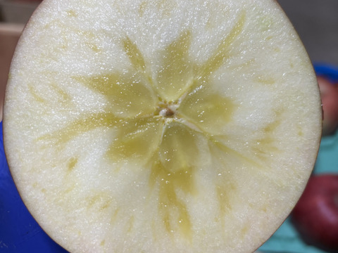令和7年度産早期予約セール7%OFF大玉から順に発送‼️🍎青森県産葉取らず完熟ふじ約6kgとことん味にこだわりました😊