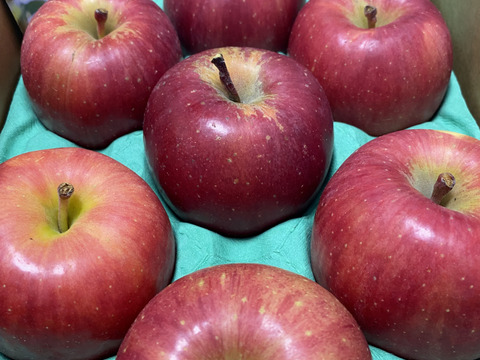 權之丞の葉取らずミックス！　葉取らず高徳&葉取らずサンふじ　家庭用2kg【5〜10個入り】