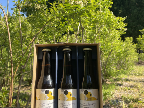 アメリカンな味わい！ブルーベリーハードセルツァー330ml×3本