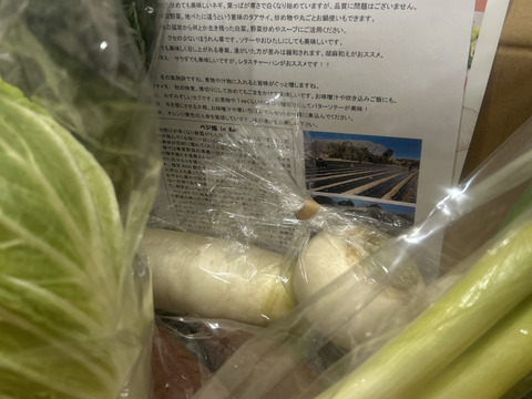 Mサイズ ＊旬野菜セット(約8~9品)【農薬：栽培期間中不使用】