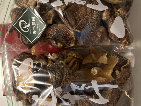 「訳あり規格外品」お徳用原木乾しいたけ（１３０ｇ×２袋）
