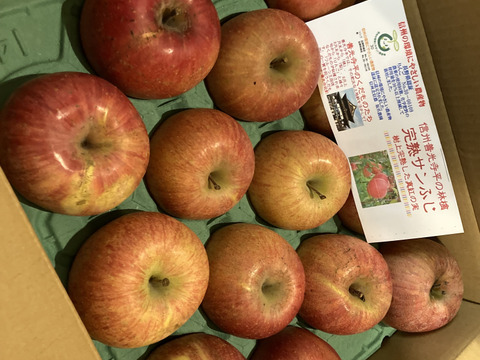 完熟サンふじ【鮮度保持貯蔵】スマートフレッシュ済分　訳あり　ご家庭専用 5キロコース　（12～20個入り）