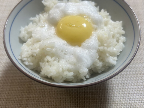 【限定15食】採れたて新鮮！令和7年新米5kg+平飼い卵10個