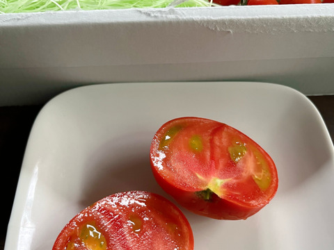 ★平均糖度10.5度！★完熟★名水育ち★究極のフルーツトマト「海部川のしずく」1.4kg(10〜35個)　品種は驚きの桃太郎！