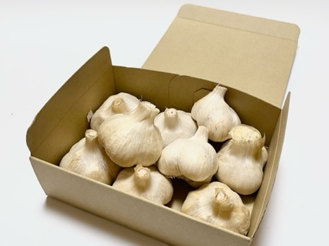 福井県鯖江市産 福地ホワイト6片 にんにく700g
