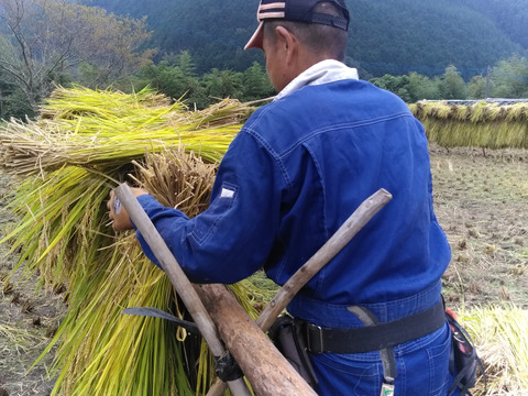 九州山地の特別栽培米　【掛け干し自然乾燥】（5kg）