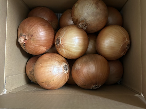 大地の恵み！淡路島完熟玉ねぎ🧅【シャーロットオニオン　輝玉（キラ玉✨）】(3kg)