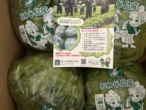 【野菜ソムリエサミット銀賞受賞】淡路島こだわりレタス３玉
