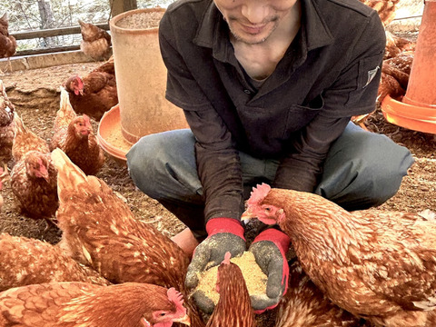 【定期購入専用】
☆＊【安納芋の甘みがギュッ‼️】＊☆
っと詰まった夢まる自然卵(10個入り6箱)