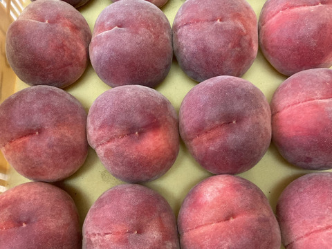 【ご自宅用】なつっこ🍑3kg