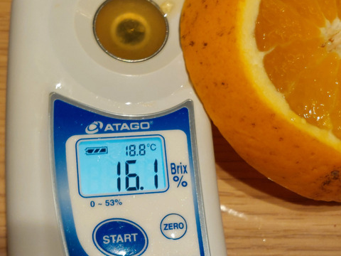 きよみオレンジ『サイズ混合』5kg（箱込）80