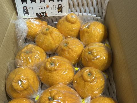 不知火デコ柑3k以上入ってます、サイズコミコミB品小玉多めになります。