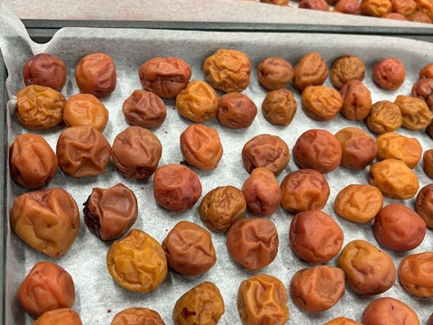 ご飯がすすむ！！【赤しそゴマふりかけ】