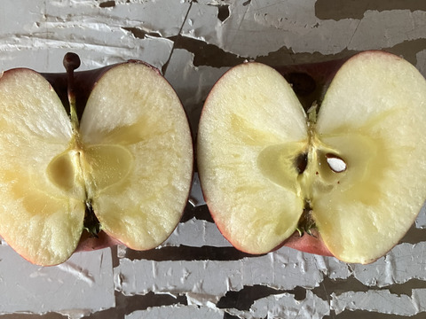 すぐ発送！宮美ふじ　家庭用訳あり小玉箱込10.5キロ　農薬半減栽培で安心安全！