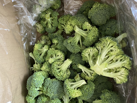 【期間限定】時短！！カットブロッコリー1kg