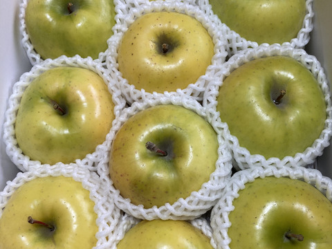 超希少りんご　こうこう3キロ7-12玉　樹上完熟蜜入りチェック済み　幸せ呼ぶ黄色いりんご　11月25日頃より発送予定