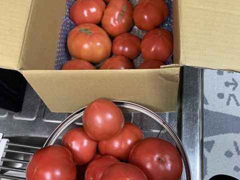 トマト箱いっぱい詰め(約5kg)