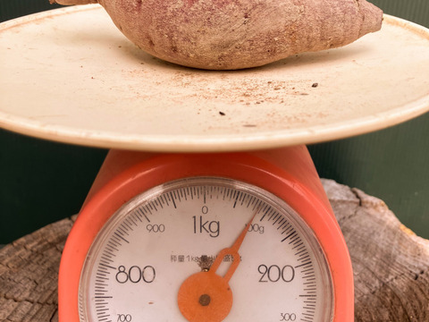 自然栽培〈ミニべにはるか〉大分県産さつまいも サイズ混合5kg