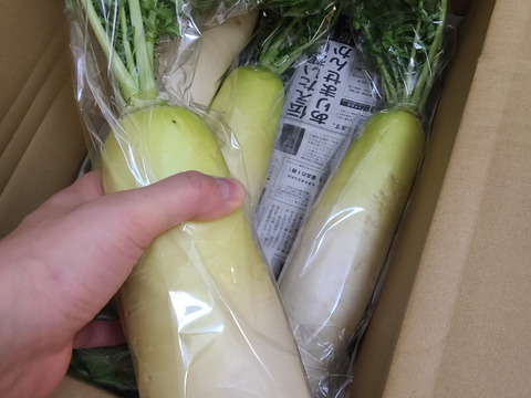 【栽培期間中農薬不使用】甘味が増した青首大根4kg以上（4～５本）