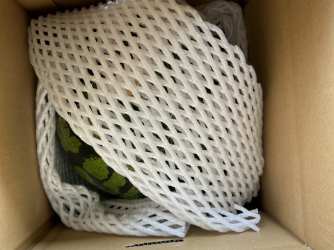 リピーター増加中！シャリジュワッ
大玉すいか(8kg〜9kg)