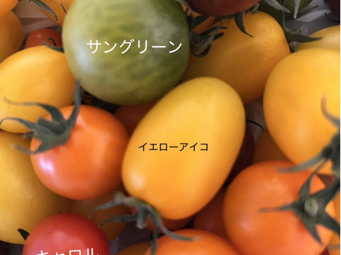 トマト、ミニトマトセット　Iキロ