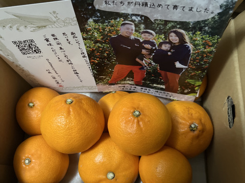 【柑橘の大トロ！】せとか（ご家庭用・２㎏）×２箱