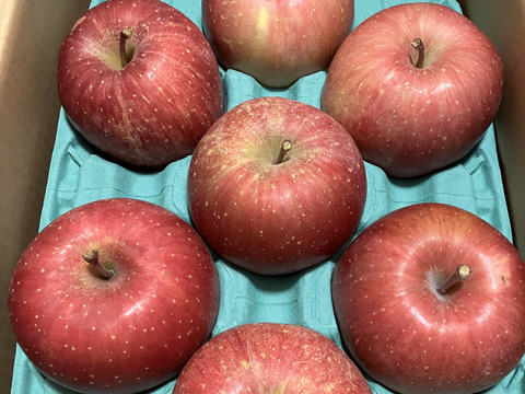 感謝お礼セール‼️とことん味にこだわりました💪😊🍎青森県産完熟葉取らずふじ家庭用キズあり約3kg‼️