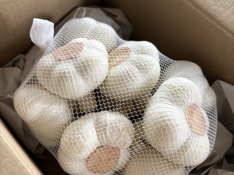 にんにくの概念が変わる!「生にんにく」12玉【数量限定】【父の日ギフト】