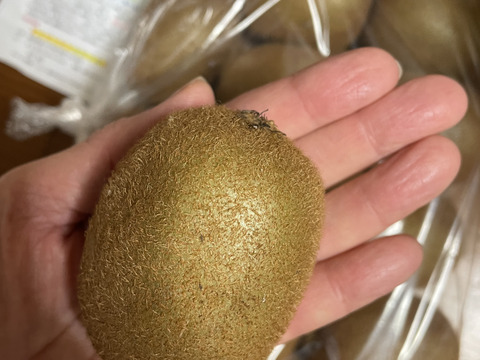 ビタミンたっぷりキウイふる～つ　家庭用Mサイズ４Ｋ【品種ヘイワード】