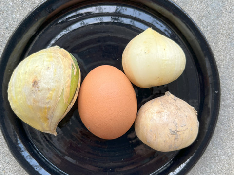 ジャンボニンニク　【厳選特大バラ1キロ】