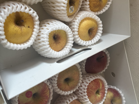 農薬5割減・化学肥料不使用の特別栽培りんご🍎🍏おまかせりんご3種食べ比べ5kg🍎🍏 訳ありご家庭用 りんご詰合せ 化学肥料不使用 青森県特別栽培認証 皮ごとおいしい🍴