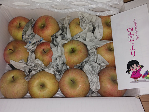 まるせい果樹園のりんご　訳あり　おまかせ　3kg　自家用　加工用　(6～15玉入り)　玉数指定不可 or2