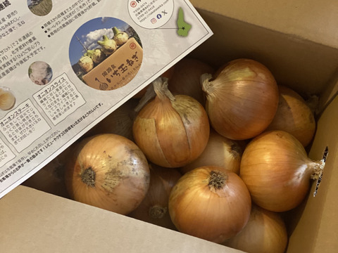 【祝!3年連続金賞🏆】淡路島玉ねぎ5kg