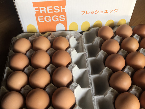 国産発酵飼料を食べている鶏達の卵30個