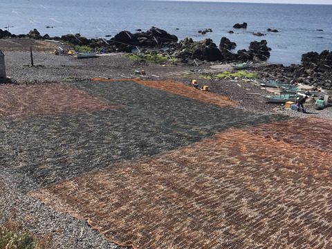 【実質送料無料】贈答・ギフトに1等級利尻昆布3年物使用850mm以上2枚入り