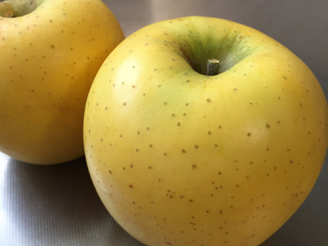 りんご いろいろBOX （2㎏）