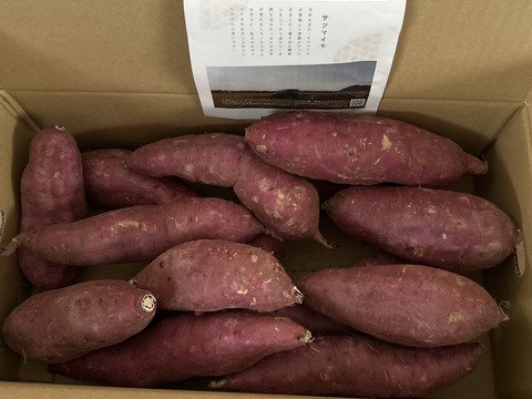 ねっとり極蜜！あま〜いサツマイモ鹿児島県産紅はるか（箱込み５kg）☆サイズ混合