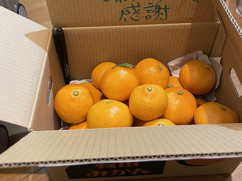 【おひとり様にオススメ】S~Mサイズ2kg とみ子ばぁばの宮川早生みかん　＜有田産>【朝市限定】